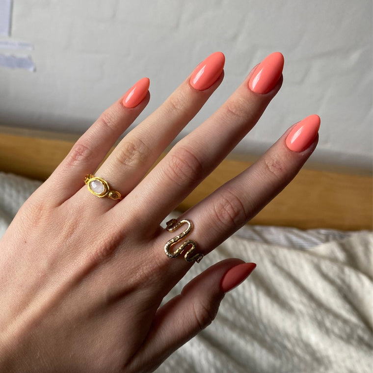 529 Electric Coral
