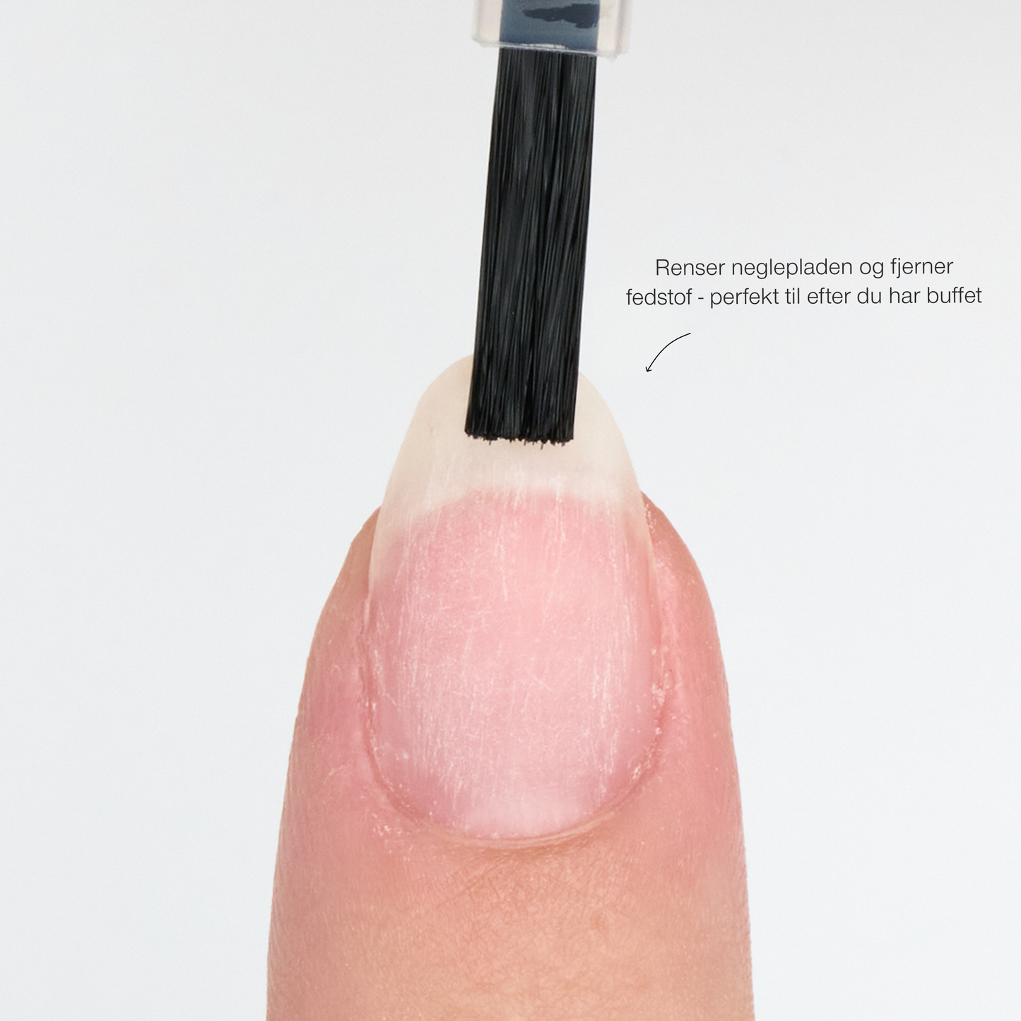 Bonder • The Gel Collection