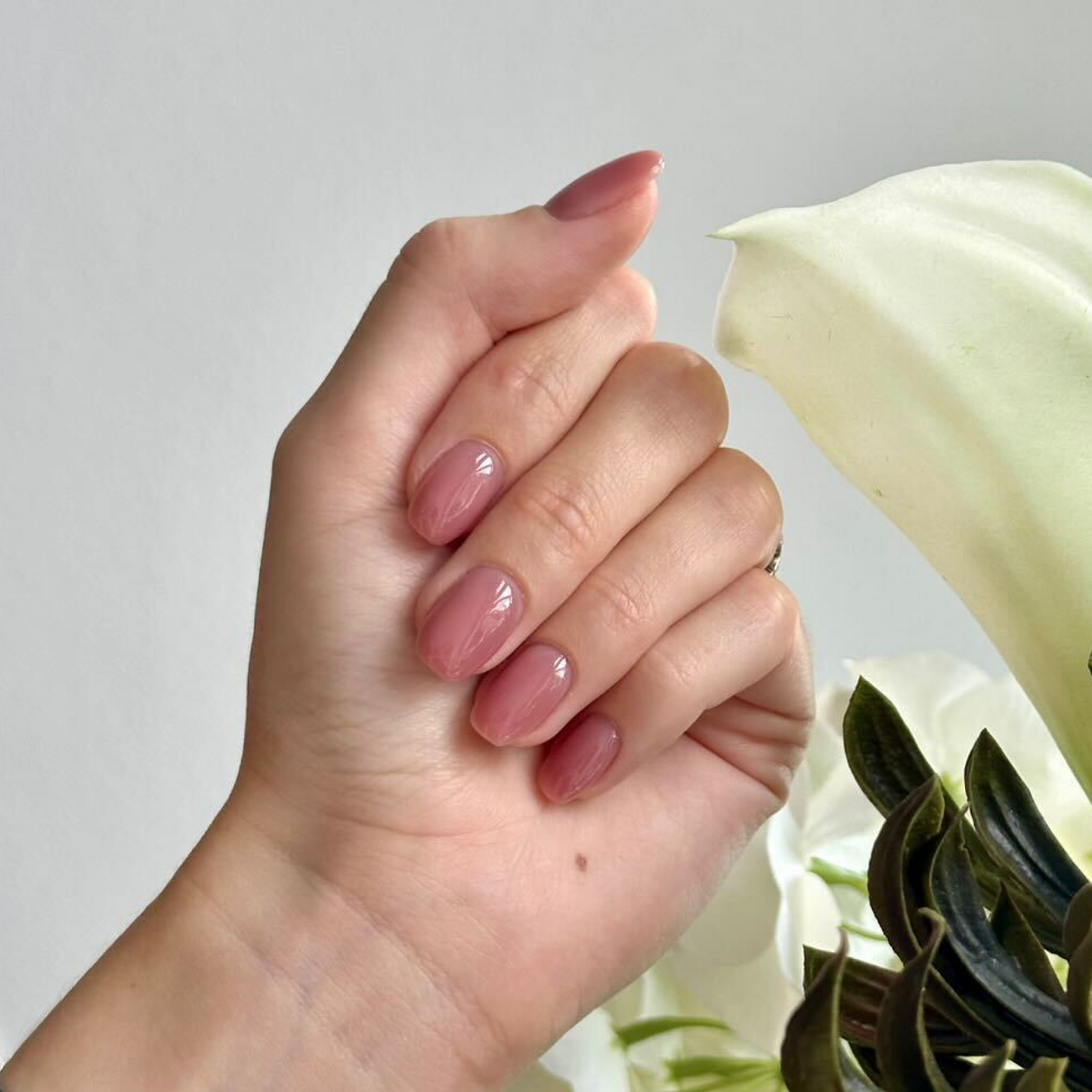 Builder Gel • Toffee Touch • 21FREE