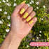 Gel Polish • 658 Fresh Lemonade • 21FREE • The Gel Collection™