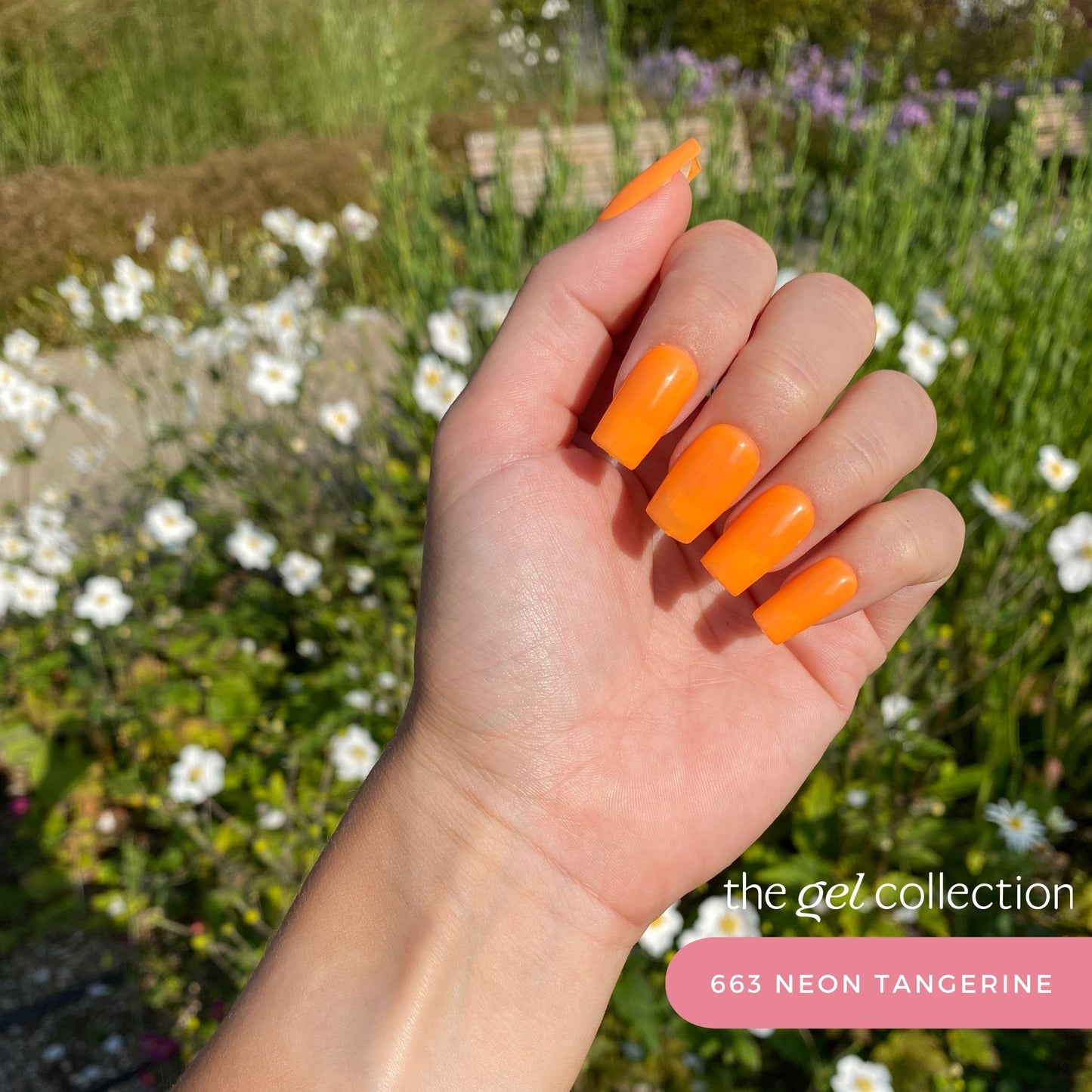 Gel Polish • 663 Neon Tangerine (semi-transparent) • 21FREE • The Gel Collection™