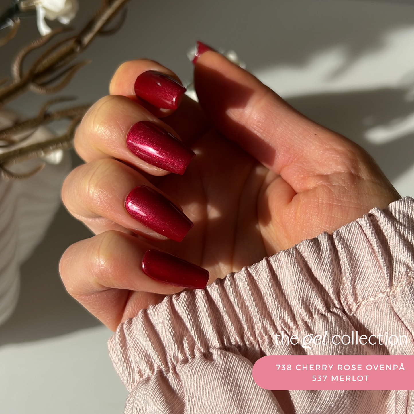 Gel Polish • 738 Cherry Rose (semi-transparent) • 21FREE • The Gel Collection™