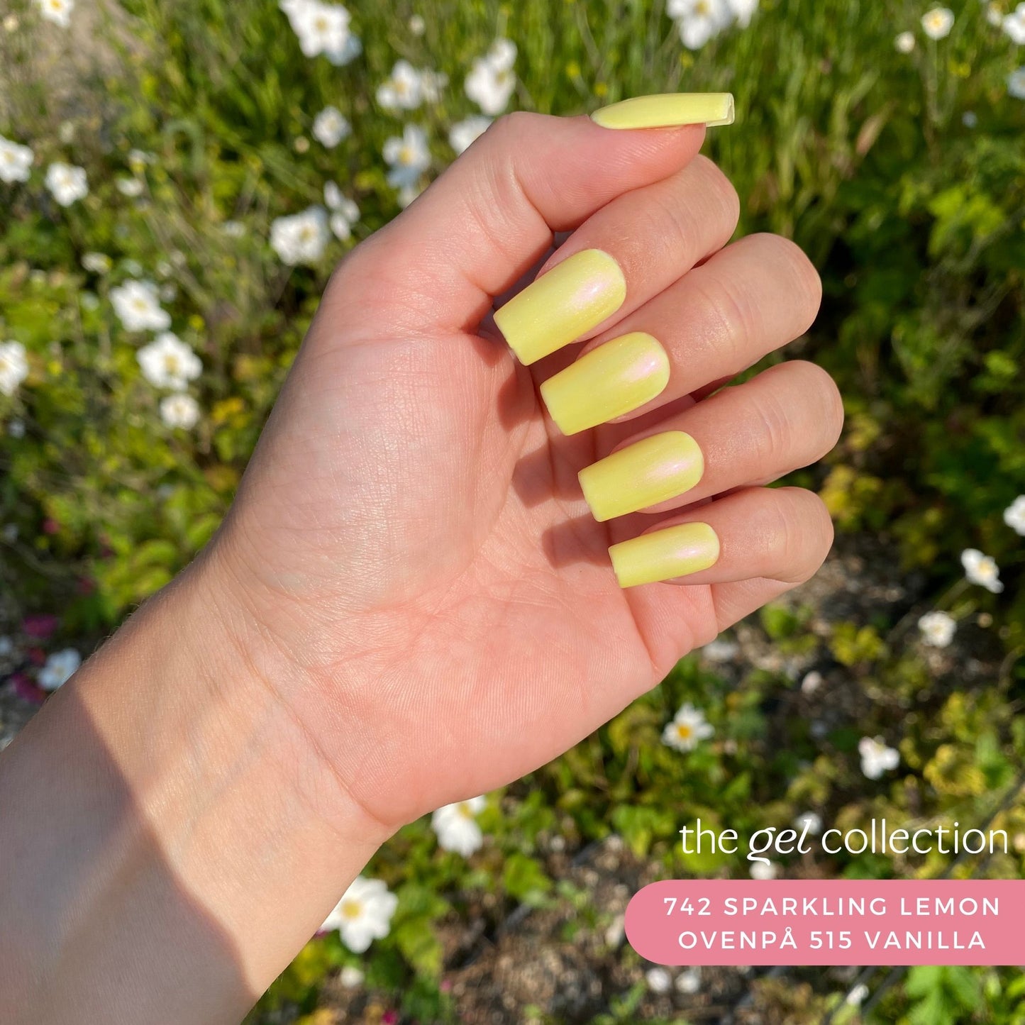 Gel Polish • 742 Sparkling Lemon (transparent) • 21FREE • The Gel Collection™