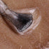 Gel Polish • 514 Blushing Bronze (transparent) • 21FREE  • The Gel Collection™