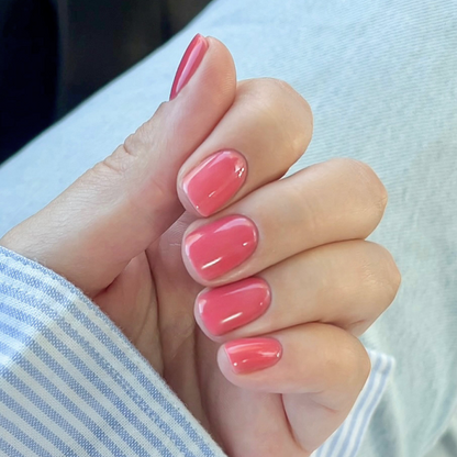 Jelly farver • Pakketilbud med 5 farver • 21FREE • The Gel Collection™